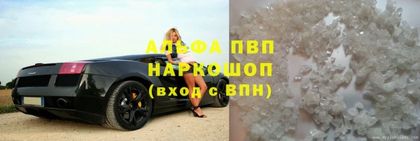 мяу мяу мука Абаза