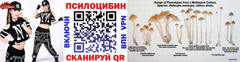 Псилоцибиновые грибы Psilocybine cubensis  Лабинск 